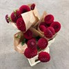 DAHLIA RÖDA NÄRODLAT BUNT URVAL